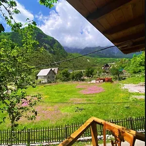 Mikel Center Guest house